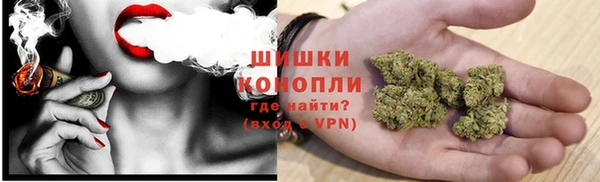 стафф Кодинск
