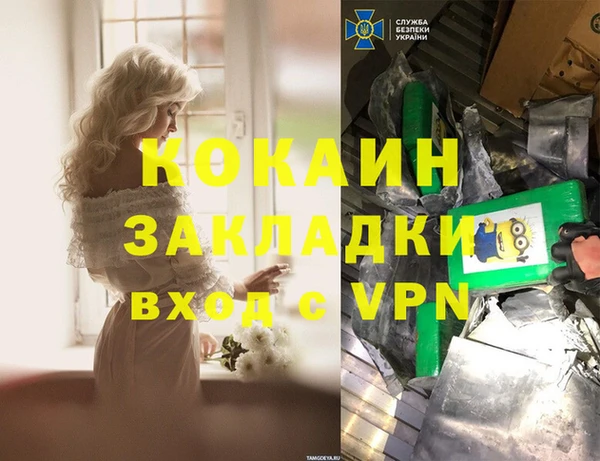 ПСИЛОЦИБИНОВЫЕ ГРИБЫ Козловка