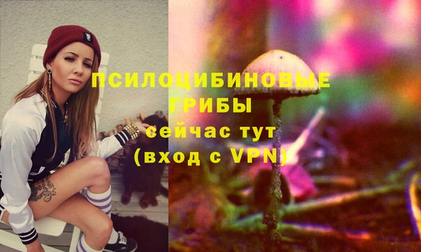 МДПВ Козельск