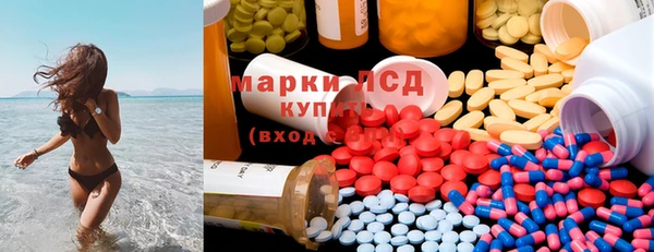 ПСИЛОЦИБИНОВЫЕ ГРИБЫ Козловка