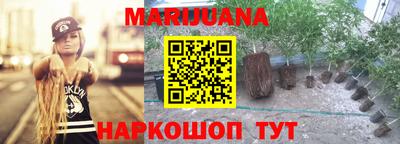 дурь Заводоуковск