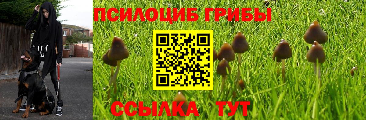 Минеральные Воды  Галлюциногенные грибы мицелий  Псилоцибиновые грибы Magic Shrooms  Вход с VPN 