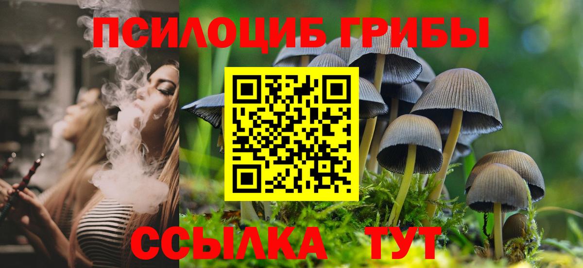 Галлюциногенные грибы GOLDEN TEACHER Минеральные Воды