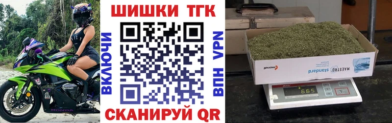 Шишки марихуана семена  Минеральные Воды 